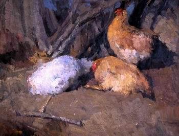 unknow artist Cock 181 oil painting picture